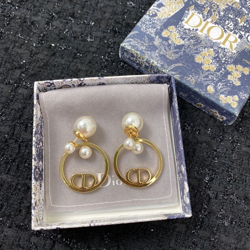 Christian Dior Earrings